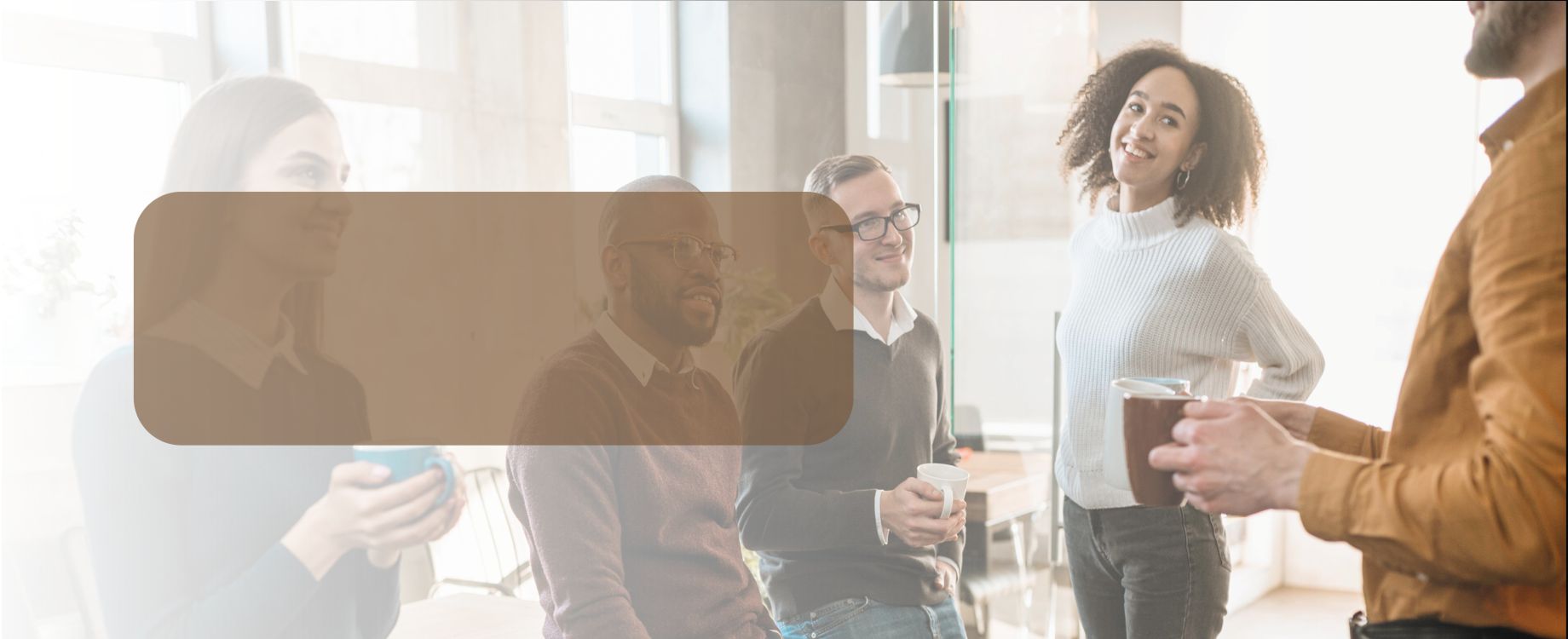 primulator toppbilde